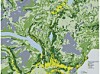 Beiteområder i Norge: Beskyttelse og bærekraftig bruk