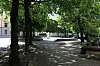 Skyggelagt gangvei med trær og benker i en urban park.