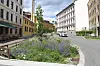 Bygate med lilla blomsterbed, grønne planter, lyse bygårder og biler.
